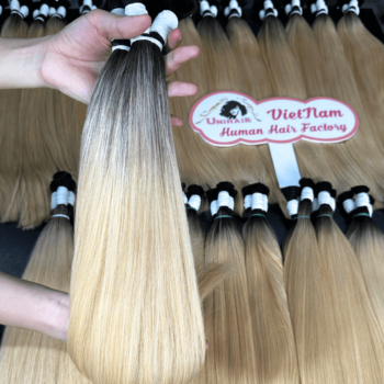 bulk hair ombre blonde color double platinum 3