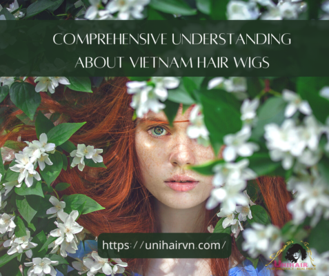 Comprehensive understanding about Vietnam hair wigs