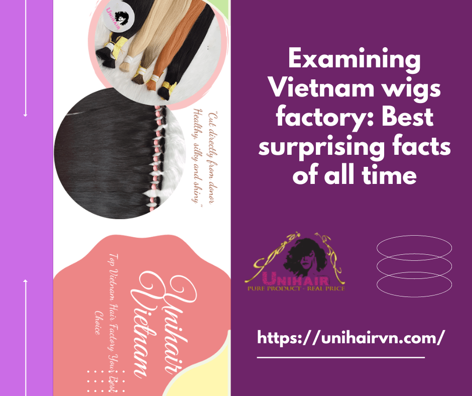 Examining Vietnam wigs factory Best surprising facts of all time