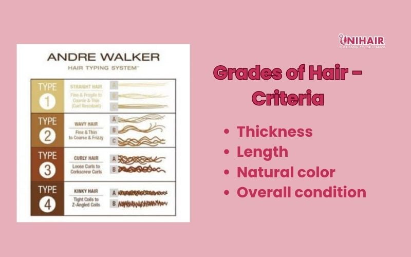 The Ultimate Guide For Grades Of Hair 2 Grades of Hair - Criteria