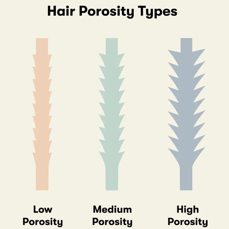 best shampoo for low porosity hair 01