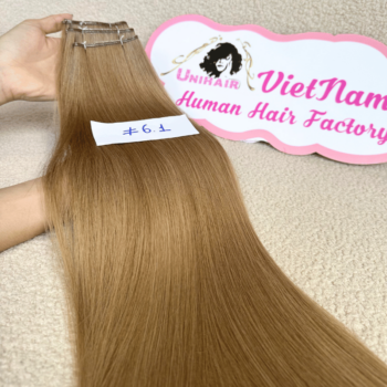 Genius Weft Human Hair Extensions with 6.1 Color Straight Hair 1
