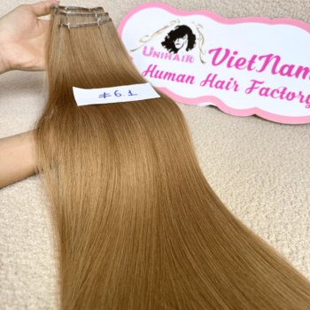 Genius Weft Human Hair Extensions with 6.1 Color Straight Hair 2 1