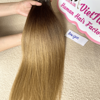 Genius Weft Human Hair Extensions with Bregen Color Straight Hair 2