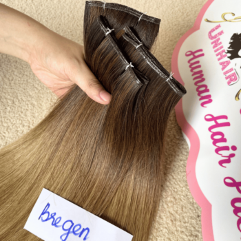 Genius Weft Human Hair Extensions with Bregen Color Straight Hair 3