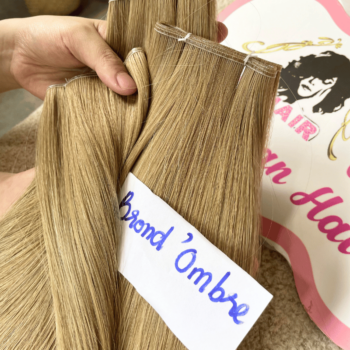 Genius Weft Human Hair Extensions with Brond Ombre Color Straight Hair 3