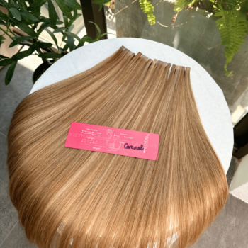 Normal Tape In Hair Extensions with Caramel Color Straight Hair 2