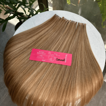 Normal Tape In Hair Extensions with Caramel Color Straight Hair 3