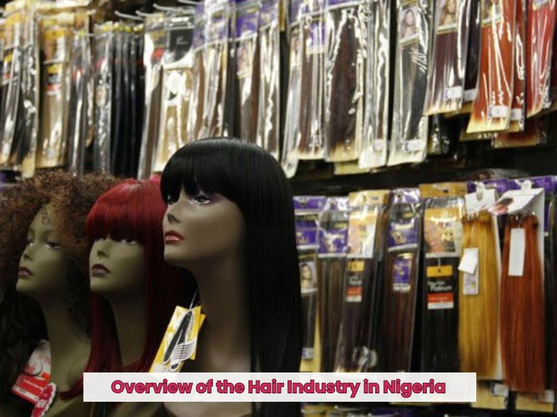 How to Import Hair from Vietnam to Nigeria 