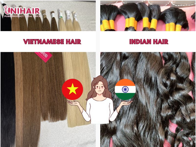 Vietnamese hair vs Indian hair: Which one is better?