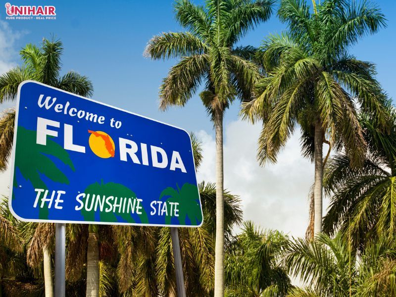 An overview of hair wholesale vendors in Florida