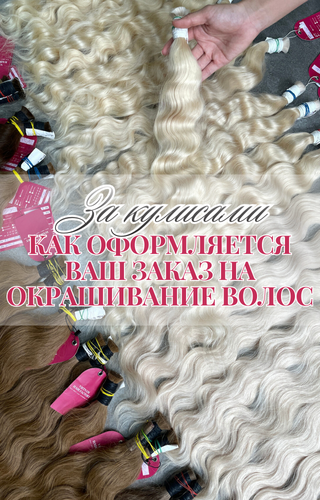Коллекция