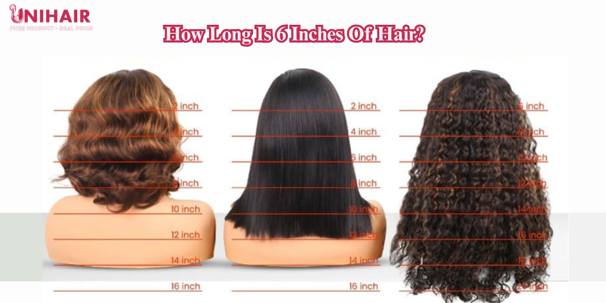 The Versatile Charm of 6 Inch Hair Length: Styles and Care Tips 2 6 inch hair length